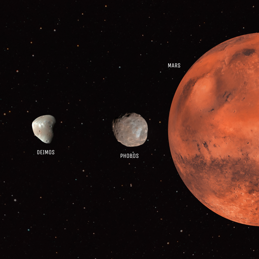 Solar System: The Martian System